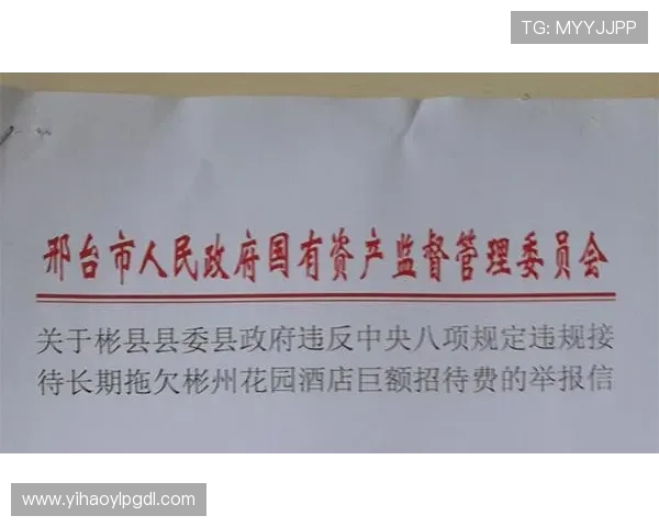 壹号平台官网首页用户评价与反馈汇总分析