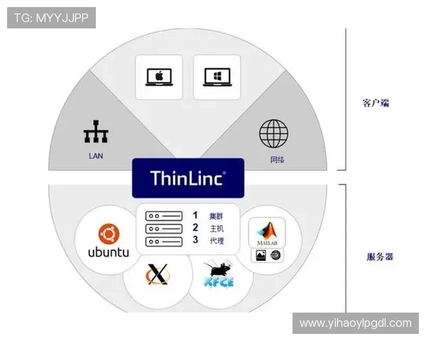 壹号注册登录入口的安全保障措施与隐私保护介绍